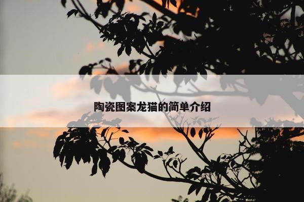 陶瓷图案龙猫的简单介绍