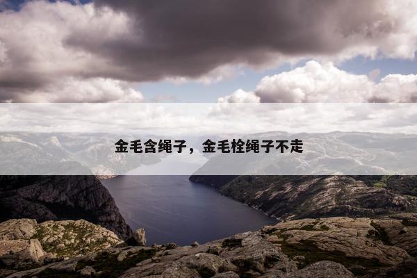金毛含绳子，金毛栓绳子不走