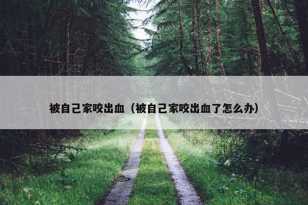 被自己家咬出血（被自己家咬出血了怎么办）