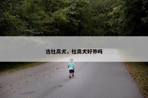 选杜高犬，杜高犬好养吗