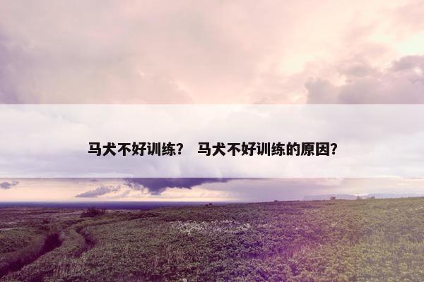 马犬不好训练？ 马犬不好训练的原因？
