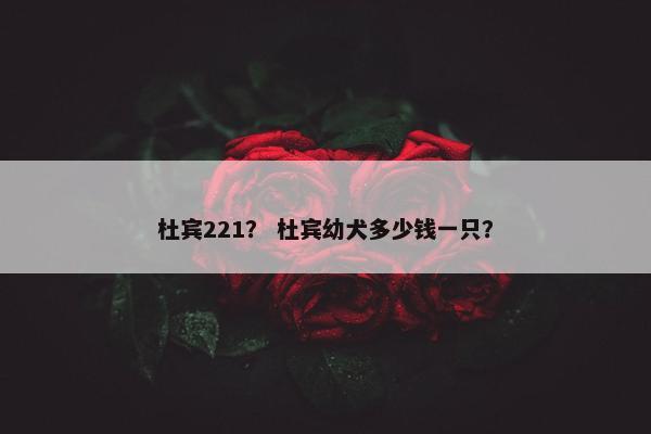 杜宾221？ 杜宾幼犬多少钱一只？