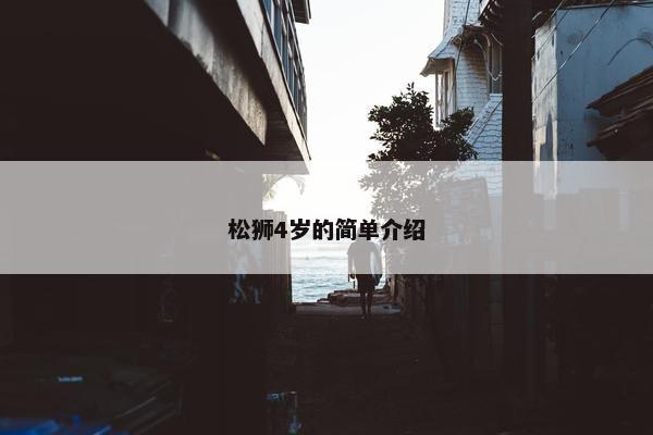 松狮4岁的简单介绍