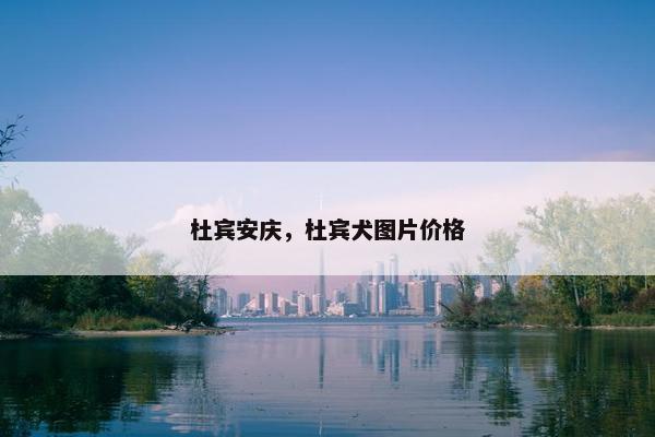 杜宾安庆，杜宾犬图片价格