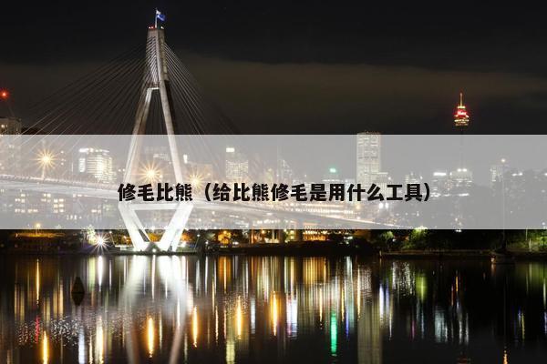 修毛比熊（给比熊修毛是用什么工具）