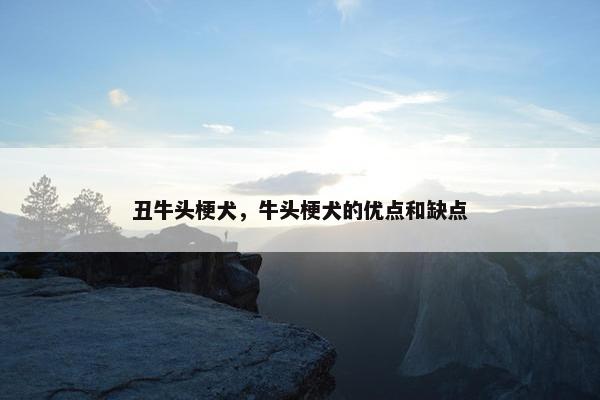 丑牛头梗犬，牛头梗犬的优点和缺点