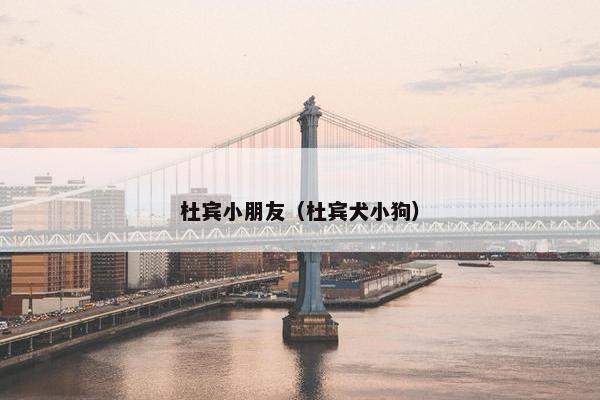 杜宾小朋友（杜宾犬小狗）