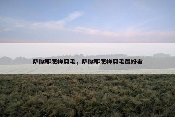 萨摩耶怎样剪毛，萨摩耶怎样剪毛最好看