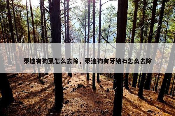 泰迪有狗虱怎么去除，泰迪狗有牙结石怎么去除