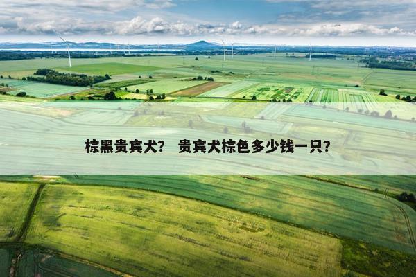 棕黑贵宾犬？ 贵宾犬棕色多少钱一只？