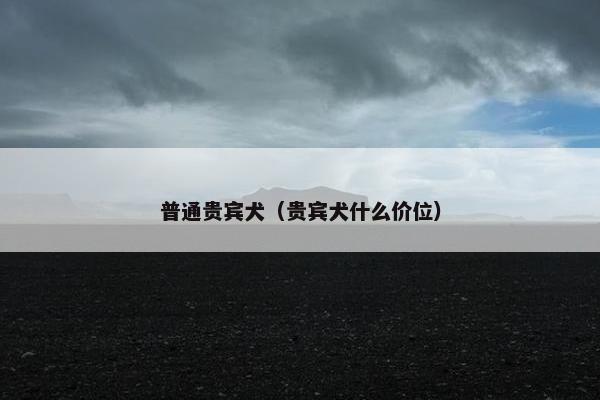 普通贵宾犬（贵宾犬什么价位）