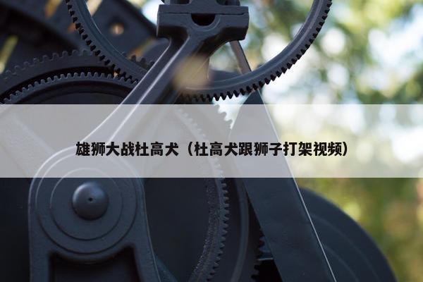 雄狮大战杜高犬（杜高犬跟狮子打架视频）