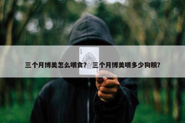 三个月博美怎么喂食？ 三个月博美喂多少狗粮？