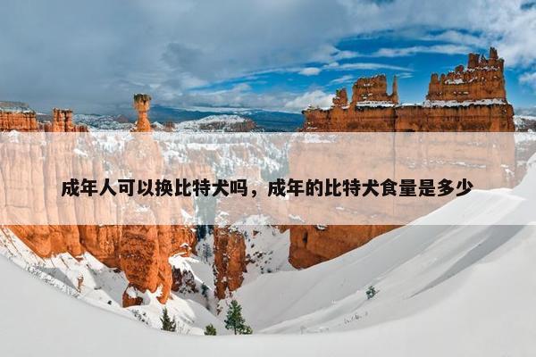 成年人可以换比特犬吗，成年的比特犬食量是多少