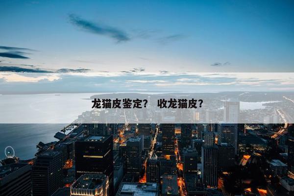 龙猫皮鉴定？ 收龙猫皮？