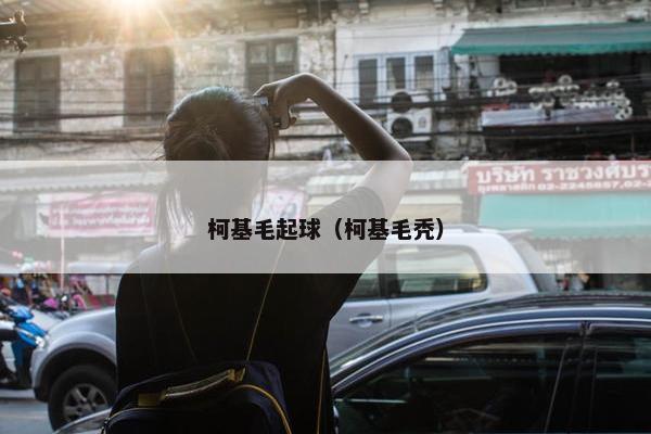 柯基毛起球（柯基毛秃）