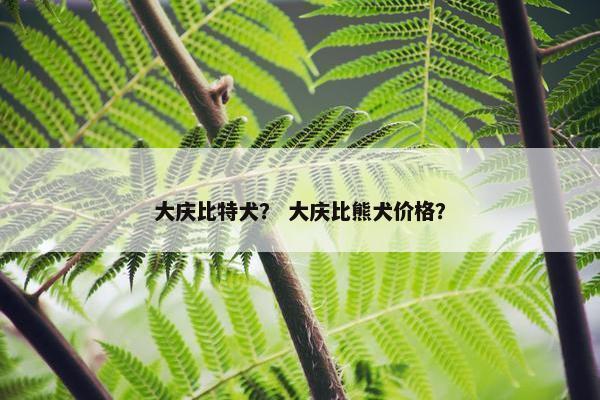 大庆比特犬？ 大庆比熊犬价格？
