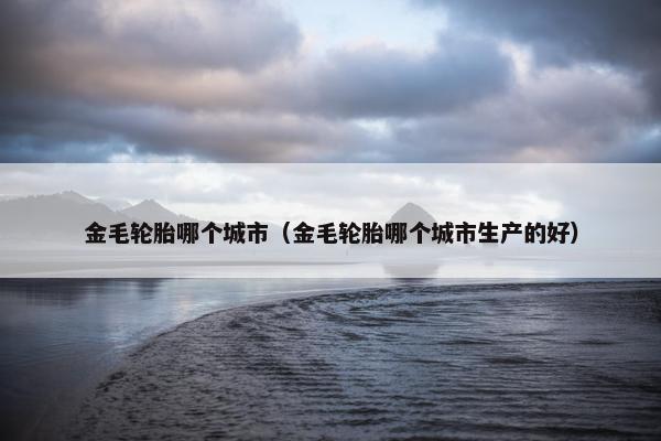 金毛轮胎哪个城市（金毛轮胎哪个城市生产的好）