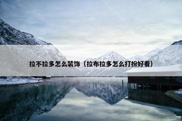 拉不拉多怎么装饰（拉布拉多怎么打扮好看）