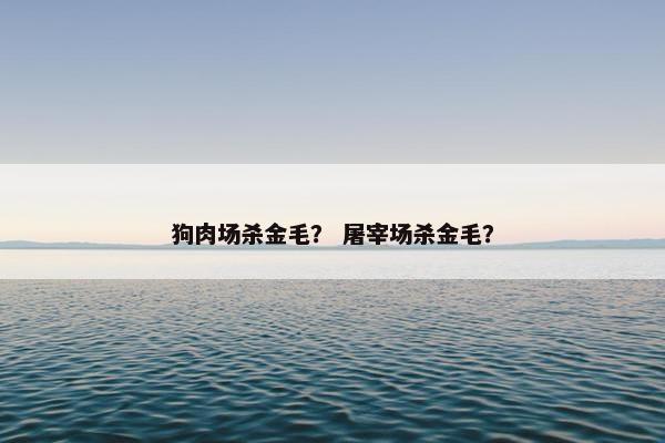 狗肉场杀金毛？ 屠宰场杀金毛？