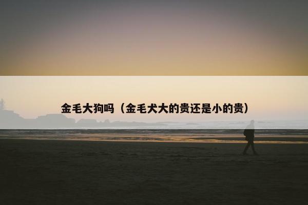 金毛大狗吗（金毛犬大的贵还是小的贵）