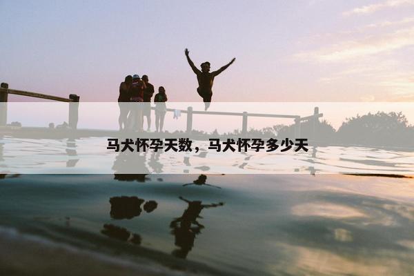 马犬怀孕天数，马犬怀孕多少天