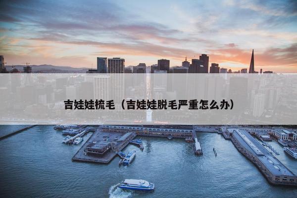 吉娃娃梳毛（吉娃娃脱毛严重怎么办）