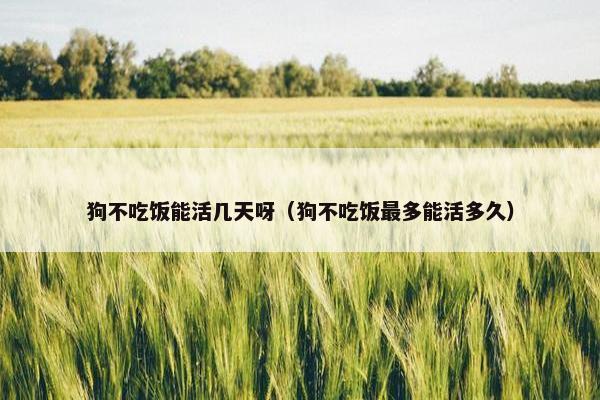狗不吃饭能活几天呀（狗不吃饭最多能活多久）