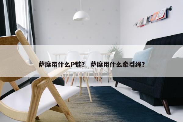 萨摩带什么P链？ 萨摩用什么牵引绳？