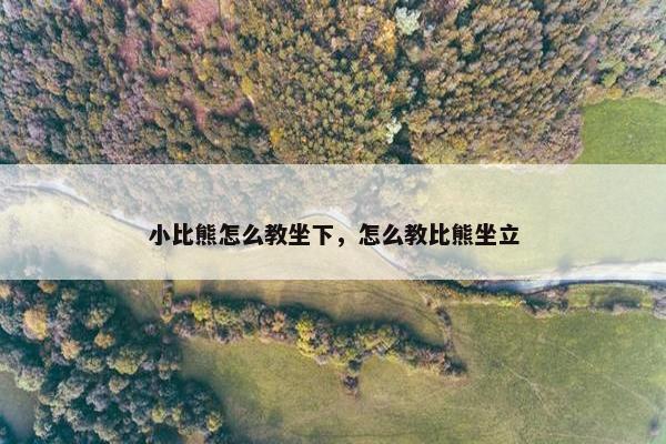 小比熊怎么教坐下，怎么教比熊坐立