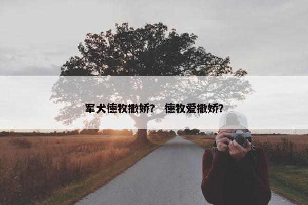 军犬德牧撒娇？ 德牧爱撒娇？