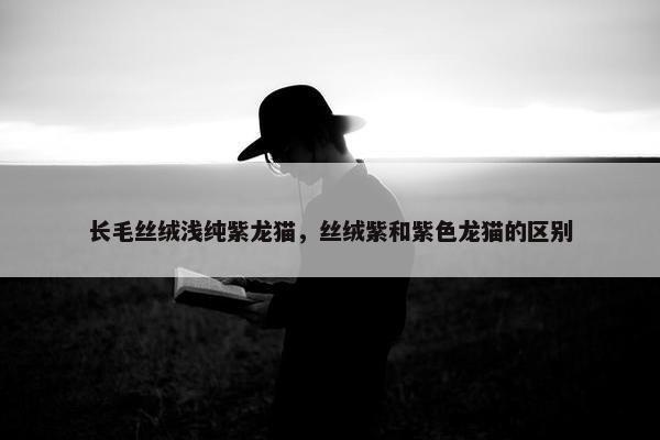 长毛丝绒浅纯紫龙猫，丝绒紫和紫色龙猫的区别