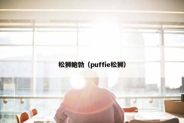 松狮鲍勃（puffie松狮）