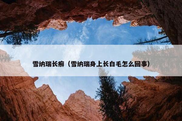雪纳瑞长癣（雪纳瑞身上长白毛怎么回事）
