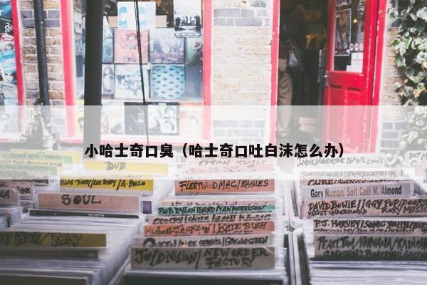 小哈士奇口臭（哈士奇口吐白沫怎么办）