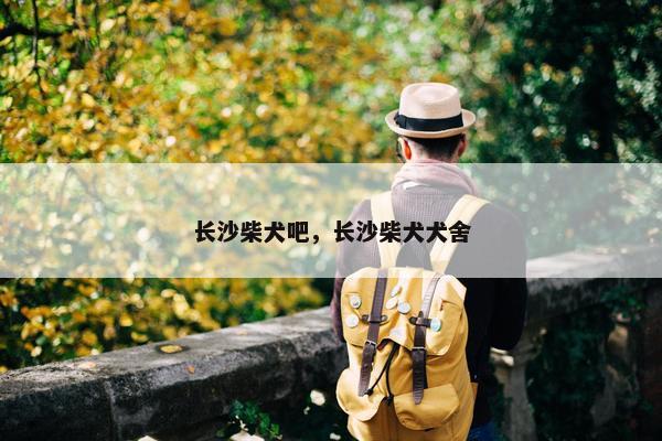 长沙柴犬吧，长沙柴犬犬舍