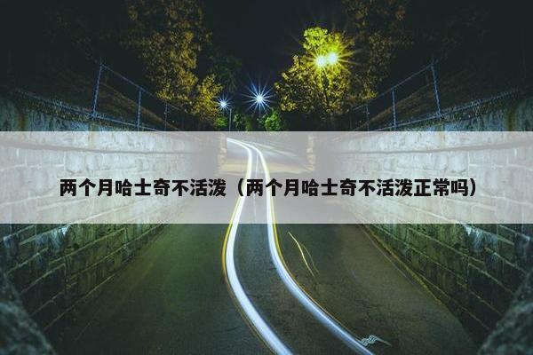 两个月哈士奇不活泼（两个月哈士奇不活泼正常吗）