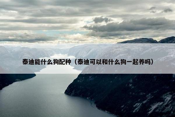 泰迪能什么狗配种（泰迪可以和什么狗一起养吗）