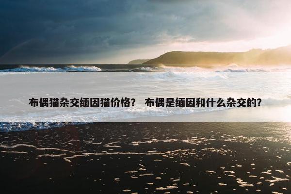 布偶猫杂交缅因猫价格？ 布偶是缅因和什么杂交的？