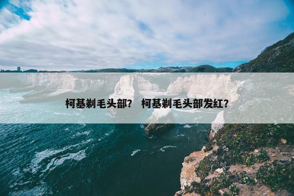 柯基剃毛头部？ 柯基剃毛头部发红？