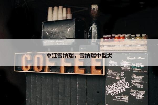 中江雪纳瑞，雪纳瑞中型犬