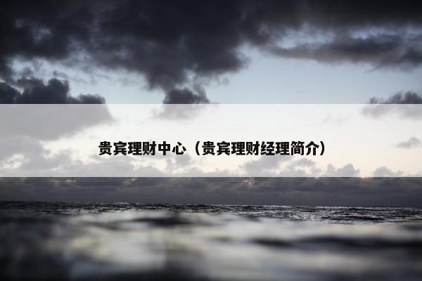 贵宾理财中心（贵宾理财经理简介）