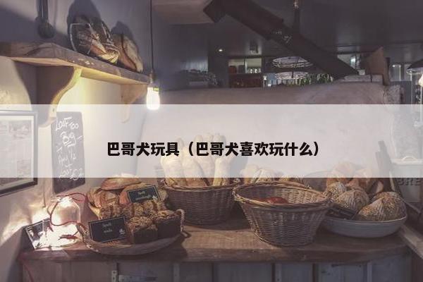 巴哥犬玩具（巴哥犬喜欢玩什么）
