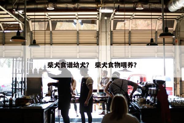 柴犬食谱幼犬？ 柴犬食物喂养？