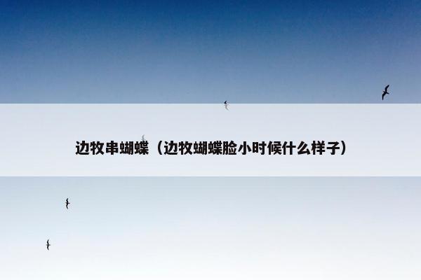 边牧串蝴蝶（边牧蝴蝶脸小时候什么样子）