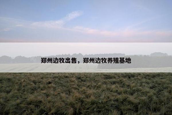 郑州边牧出售，郑州边牧养殖基地