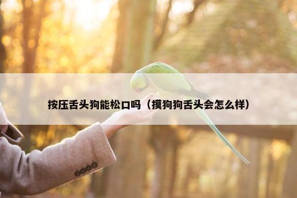 按压舌头狗能松口吗（摸狗狗舌头会怎么样）