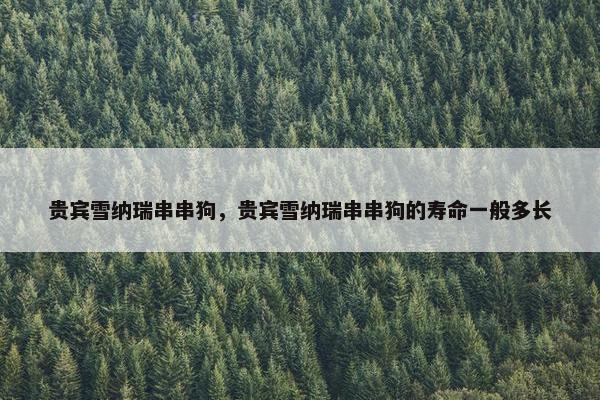 贵宾雪纳瑞串串狗，贵宾雪纳瑞串串狗的寿命一般多长