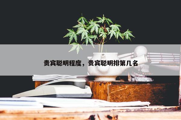 贵宾聪明程度，贵宾聪明排第几名