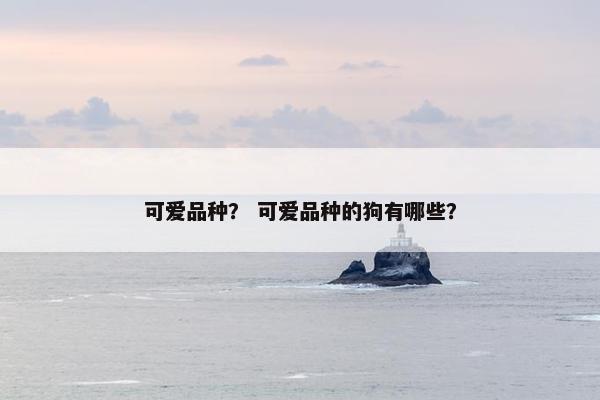 可爱品种？ 可爱品种的狗有哪些？